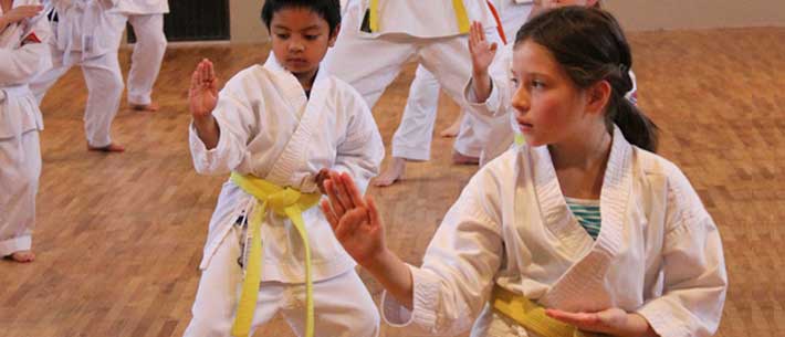 Shotokan Karate Kihon Basics
