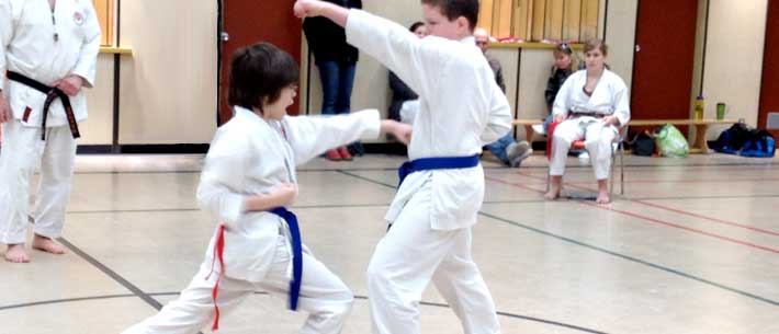 Shotokan Karate Kihon Basics